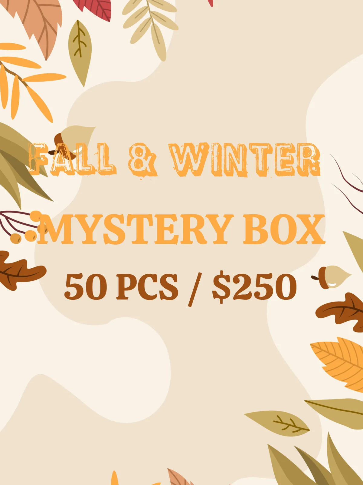 2024 NEW Fall & Winter Mystery Box 50 Items Great Value!!!