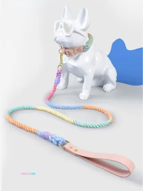 Ajustable Leather Dog Collar Leash Set